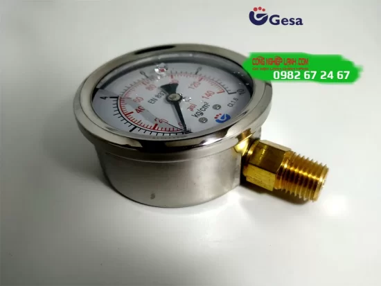 Đồng hồ áp suất Gesa M0301 Φ63R-10bar