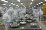 che bien thuy san xuat khau tai cong ty thuy san trung son kien giang anh bui nhu truong giang ttxvn.jpg