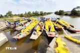 Thu mua lúa gạo tại Đồng bằng sông Cửu Long. (Ảnh: TTXVN)