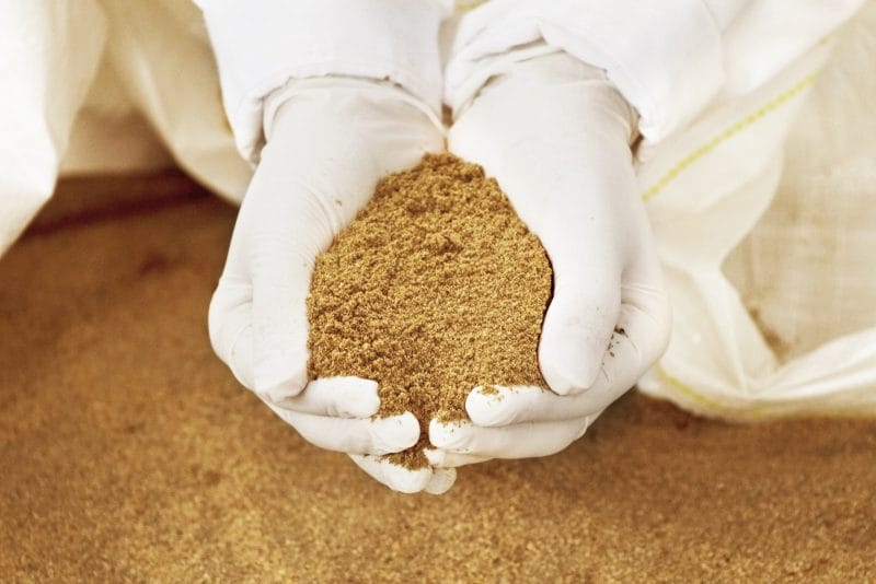Giá bột cá Trung Quốc tăng mạnh sau khi Peru kết thúc sớm mùa đánh bắt 1 Hình ảnh minh họa