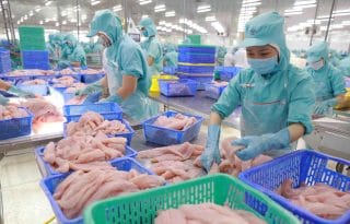 Thị trường nội địa: Một phần không thể thiếu trong chiến lược phát triển bền vững ngành cá tra