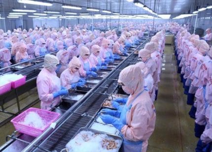 Các doanh nghiệp Hoa Kỳ,châu Mỹ có nhu cầu tìm kiếm các đối tác trong lĩnh vực thực phẩm - đồ uống.