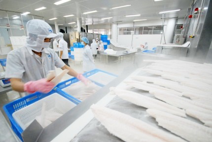 Bài học từ các quốc gia trong khu vực cho thấy, thị trường nội địa không nên chỉ là “phương án dự phòng” mà hoàn toàn có thể là trụ cột ổn định, nếu được phát triển đúng hướng. Ảnh: Hồng Thắm.