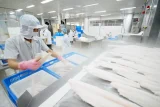 Bài học từ các quốc gia trong khu vực cho thấy, thị trường nội địa không nên chỉ là “phương án dự phòng” mà hoàn toàn có thể là trụ cột ổn định, nếu được phát triển đúng hướng. Ảnh: Hồng Thắm.