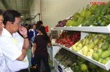 Hiệp hội Rau quả Việt Nam kiến nghị cần đàm phán chi tiết để đưa thuế cho các mặt hàng rau quả của Việt Nam vào Mỹ bằng 0%.