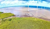 Điện gió ngoài khơi tỉnh Cà Mau.Ảnh: Phạm Đông