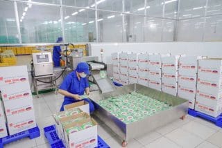Doanh nghiệp Việt giữ đà tăng trưởng giữa thách thức. Ảnh: Hạ Mây