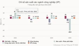 Chỉ số sản xuất các ngành công nghiệp (IIP)