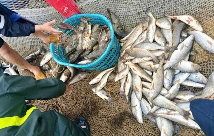 Nhiều hộ gia đình ở Quảng Trị trắng tay sau cơn bão. Ảnh: Hải Phương