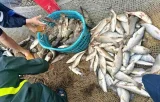 Nhiều hộ gia đình ở Quảng Trị trắng tay sau cơn bão. Ảnh: Hải Phương