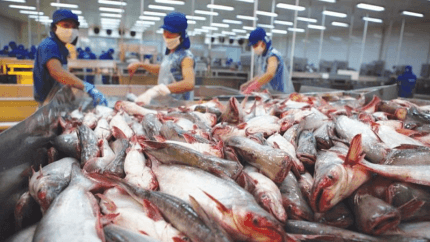 Ảnh minh họa: Internet