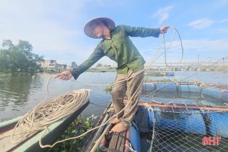 Ành minh họa