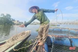 Ành minh họa