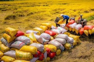 Ảnh minh họa: Internet