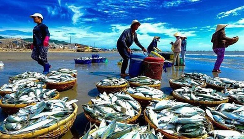 Tại các kênh phân phối hiện đại, thủy sản nội địa mới chiếm 60–70% - Ảnh minh họa