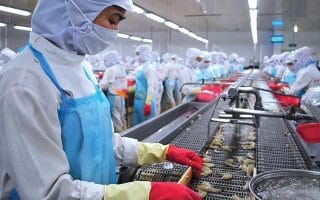 Dây chuyền chế biến tôm xuất khẩu tại Công ty Minh Phú.