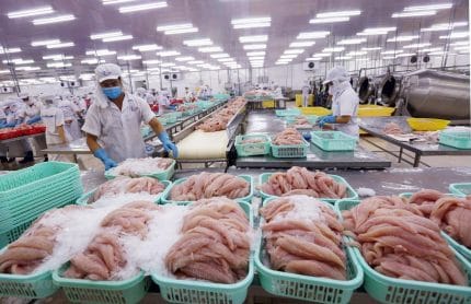 Nghịch lý tiêu chuẩn kép nông sản Việt- Thủy sản lép vế trên sân nhà 4 Cá tra xuất khẩu đáp ứng được hàng loạt tiêu chuẩn khắt khe nhất thế giới nhưng bị yếu thế ngay trên sân nhà.