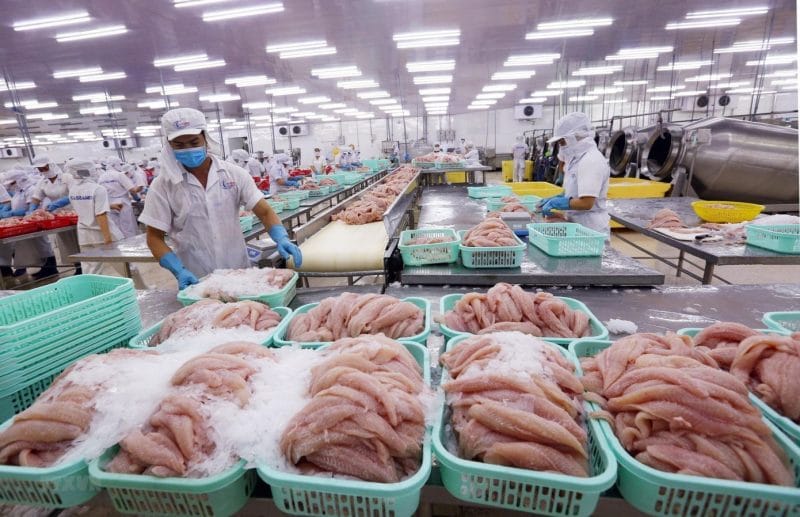 Nghịch lý tiêu chuẩn kép nông sản Việt- Thủy sản lép vế trên sân nhà 1 Cá tra xuất khẩu đáp ứng được hàng loạt tiêu chuẩn khắt khe nhất thế giới nhưng bị yếu thế ngay trên sân nhà.