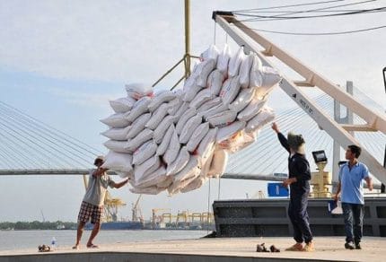 Gạo Việt Nam tăng tốc xuất khẩu, chinh phục thị trường EU với giá trị cao