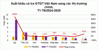 xuat khau ca tra gtgt