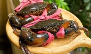 xuat khau cua ghe viet nam lap dinh