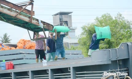 Xuất khẩu gạo đang gặp khó.