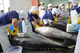 Việt Nam xuất khẩu thủy sản lớn thứ hai cho Ấn Độ
