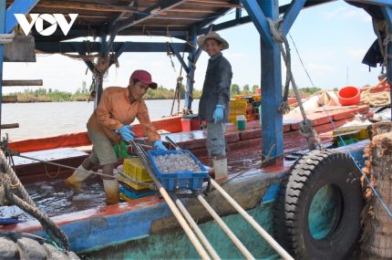 Tỉnh Cà mau vừa chỉ đạo các đơn vị chức năng và các địa phương tăng cường quản lý nông lâm thủy sản
