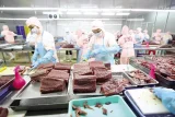 Chế biến cá ngừ tại một nhà máy thủy sản Việt Nam. Đây là ngành thiệt hại nặng nề nhất bởi quyết định của Mỹ (Ảnh: VASEP).