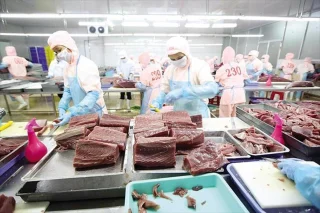 Chế biến cá ngừ tại một nhà máy thủy sản Việt Nam. Đây là ngành thiệt hại nặng nề nhất bởi quyết định của Mỹ (Ảnh: VASEP).