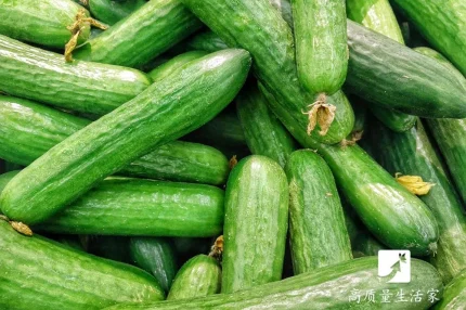 Dưa chuột nên chọn quả thon, còn gai sẽ tươi, ngon hơn. Ảnh: Aboluowang