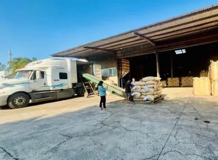 Đắk Lắk xuất khẩu vượt 2 tỉ USD, tăng gần 34% so với cùng kỳ 1 Doanh nghiệp ở Đắk Lắk đưa cà phê lên xe container chuẩn bị xuất khẩu cho đối tác nước ngoài. Ảnh: Bảo Trung