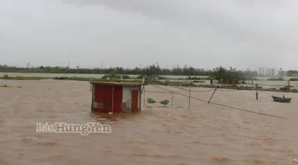 Do ảnh hưởng của bão số 10, gây mưa to làm ngập cục bộ vùng nuôi trồng thủy sản ngoài đê xã Nam Cường.