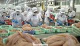 Chế biến cá tra xuất khẩu ở ĐBSCL. Ảnh: CK.