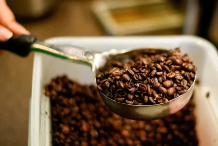 Hạt cà phê tại một cơ sở của Starbucks ở Texas. Ảnh: Reuters