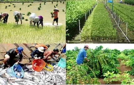 Ảnh minh họa, nguồn internet
