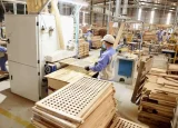 Mỹ áp thuế cao, ngành gỗ Việt Nam đối diện sóng gió mới