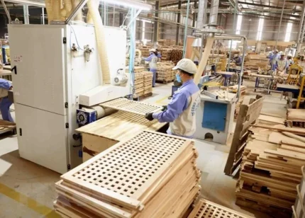 Mỹ áp thuế cao, ngành gỗ Việt Nam đối diện sóng gió mới