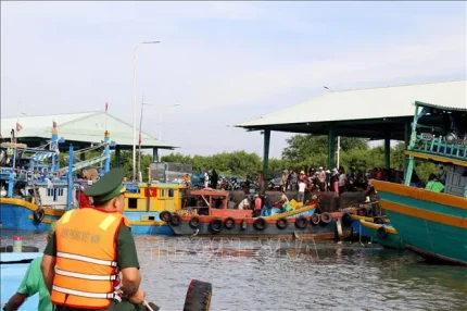 Lâm Đồng: Cao điểm kiểm tra hoạt động thu mua, xuất khẩu thủy sản sang EU 1 Đồn biên phòng Thanh Hải tổ chức tuần tra tàu cá vào bến tại cảng Phú Hài, phường Phú Thủy (tỉnh Lâm Đồng). Ảnh: Nguyễn Thanh/TTXVN