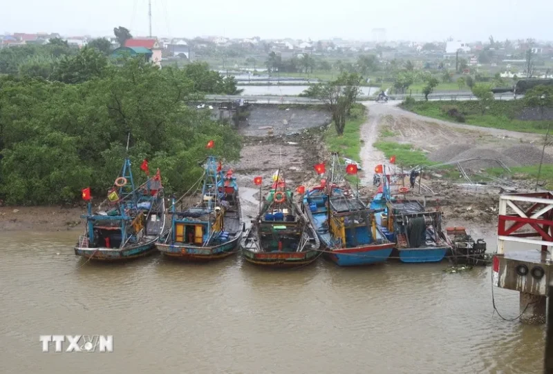 Tàu, thuyền neo đậu tránh bão. (Ảnh: Xuân Tiến/TTXVN)