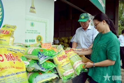 Giới thiệu sản phẩm gạo đặc sản của doanh nghiệp ở tỉnh Điện Biên. Ảnh NGUYỄN KIỂM