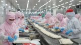 Sự tin cậy từ các đối tác lâu năm đến từ Nhật Bản là minh chứng cho chất lượng sản phẩm và uy tín thương hiệu của COFIDEC. Ảnh: SATRA