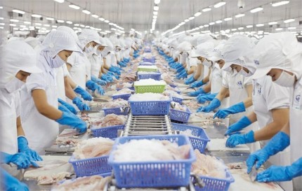Thị trường Mỹ chiếm tỷ trọng khá lớn trong cơ cấu xuất khẩu thủy sản của VNẢNH: T.N