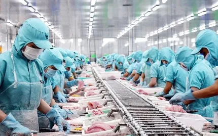 Thủy sản Việt Nam đang khẳng định vị thế tại thị trường Nhật Bản