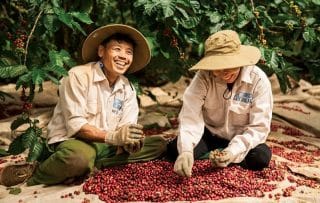 Xuất khẩu cà phê tăng mạnh đạt 6,2 tỷ USD tính từ đầu năm đến ngày 15/8.
