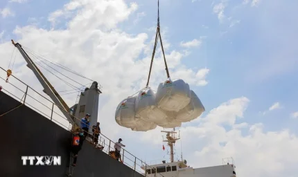 Thủ tướng: Đồng ý về mặt chủ trương "trích lại 1 USD" cho mỗi tấn gạo xuất khẩu để hỗ trợ nông dân 1 Ảnh minh họa