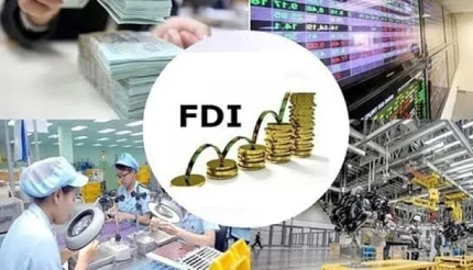 Việt Nam cần xây dựng một kế hoạch chiến lược ngành quốc gia đến năm 2045, tương tự như Kế hoạch nhân đôi thu nhập của Nhật Bản.