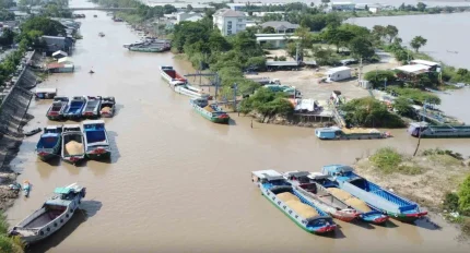 Kênh Vĩnh Tế (An Giang) là một trong những nơi tập kết thu mua lúa từ thương lái Campuchia mang sangẢNH: ĐÌNH TUYỂN
