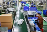 HUBA: Rủi ro vẫn bủa vây doanh nghiệp TP HCM 2 Công nhân làm việc tại nhà máy sản xuất của Bông Bạch Tuyết. Ảnh: Quỳnh Trần