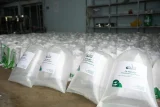 Con giống cá tra của Greenfeed. Ảnh: Greenfeed.